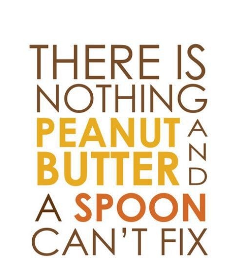 There-is-Nothing-Peanut-Butter-and-a-Spoon-Cant-Fix